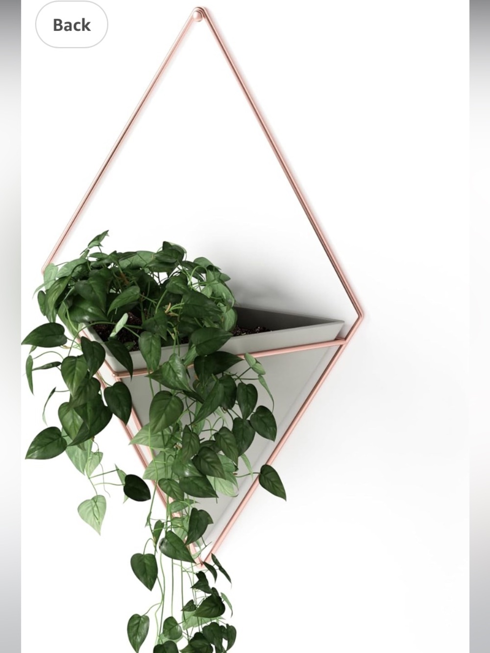 New Umbra Single Trigg Wall Hanging Vessel Gold Gray Combo Vase Planter